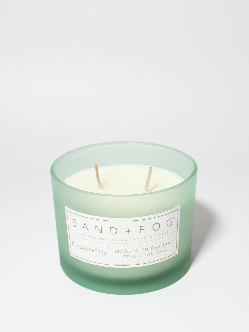 Scented Eucalyptus 12 oz scented candle