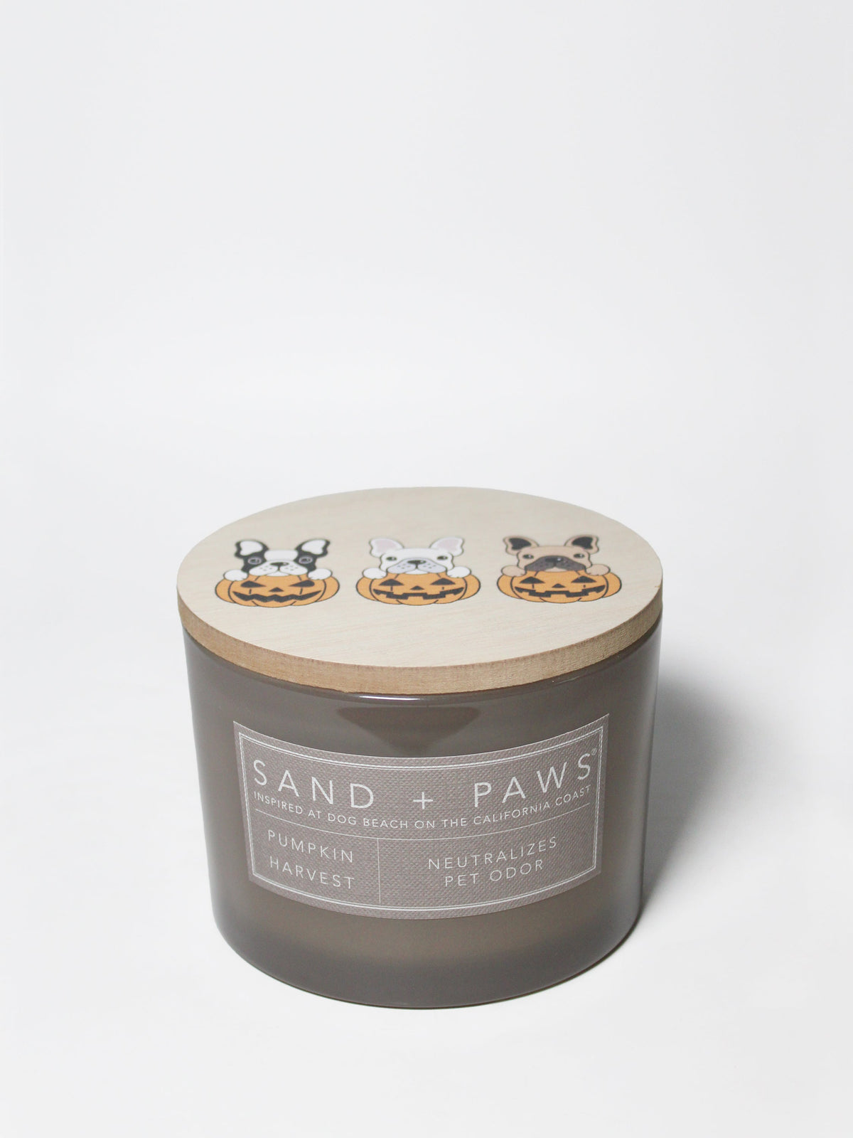 Scented Sand + Paws Pumpkin Harvest 12 oz scented candle