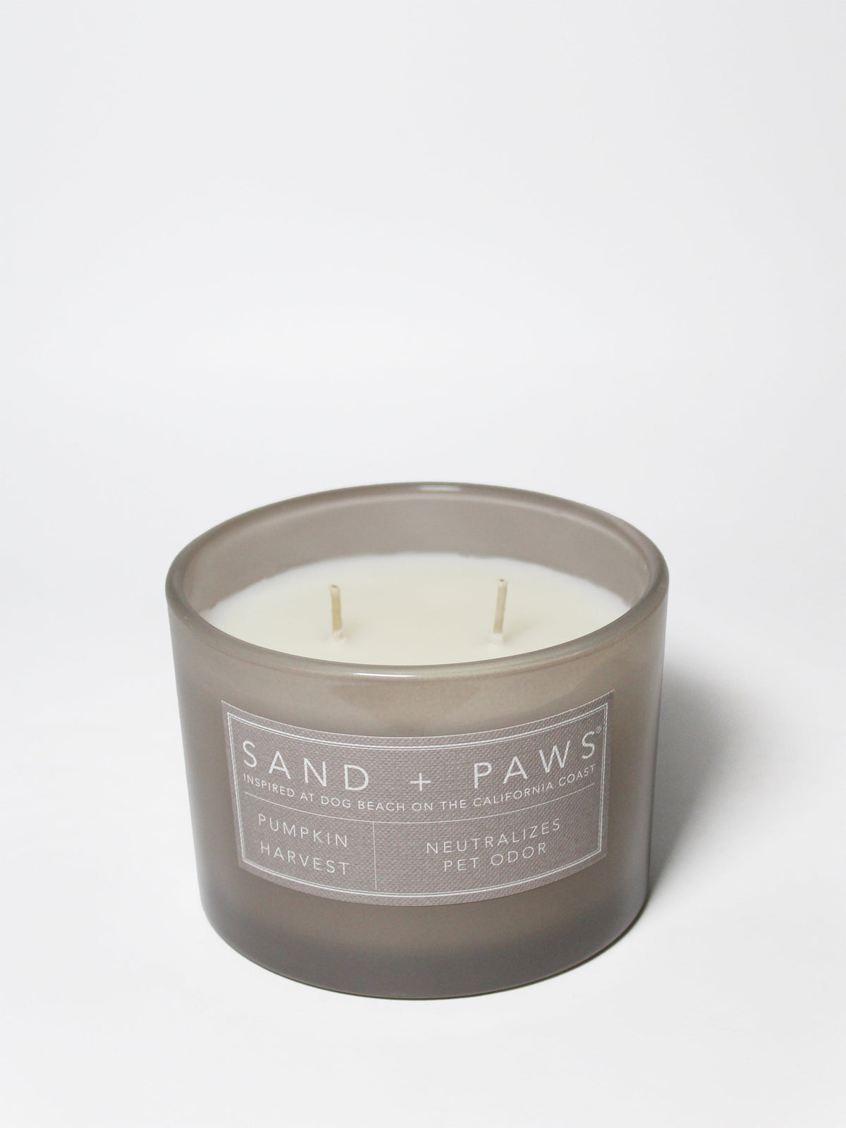 Scented Sand + Paws Pumpkin Harvest 12 oz scented candle