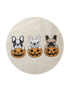 Scented Sand + Paws Pumpkin Harvest 12 oz scented candle