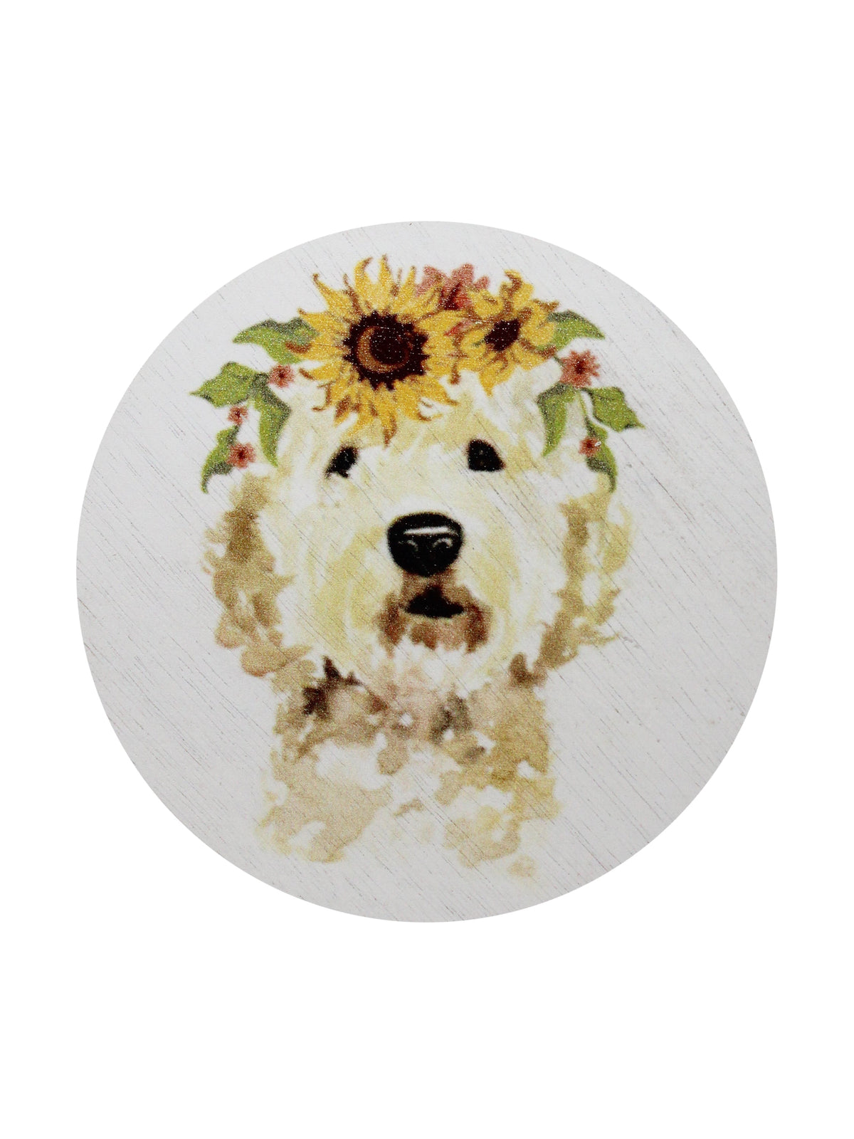 Scented Sand + Paws Mango Tangerine 12 oz scented candle