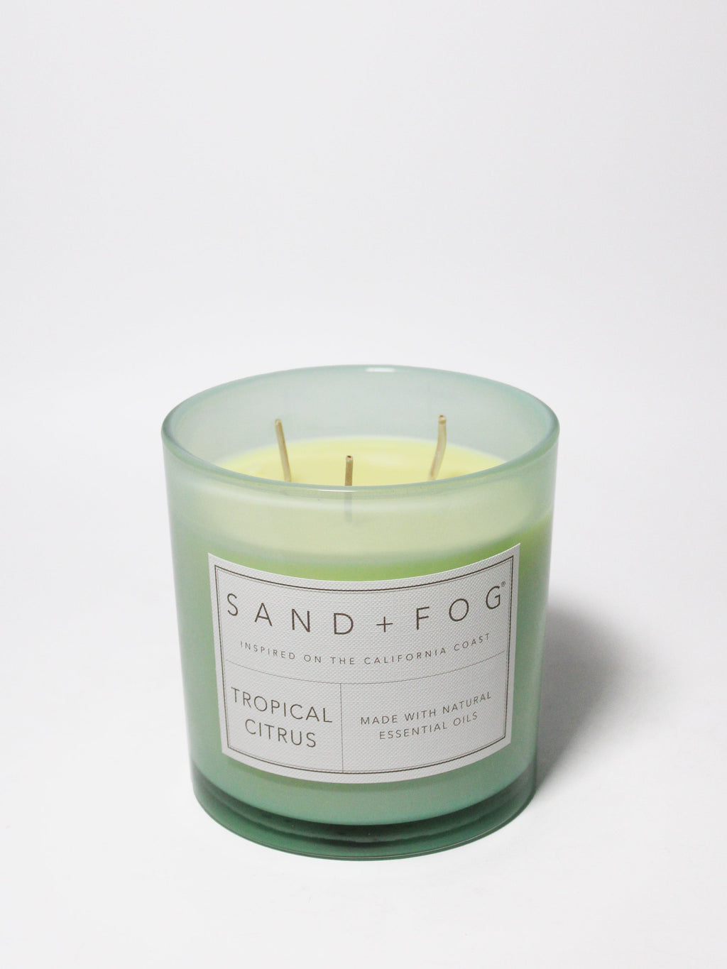 Scented Tropical Citrus 21 oz scented candle