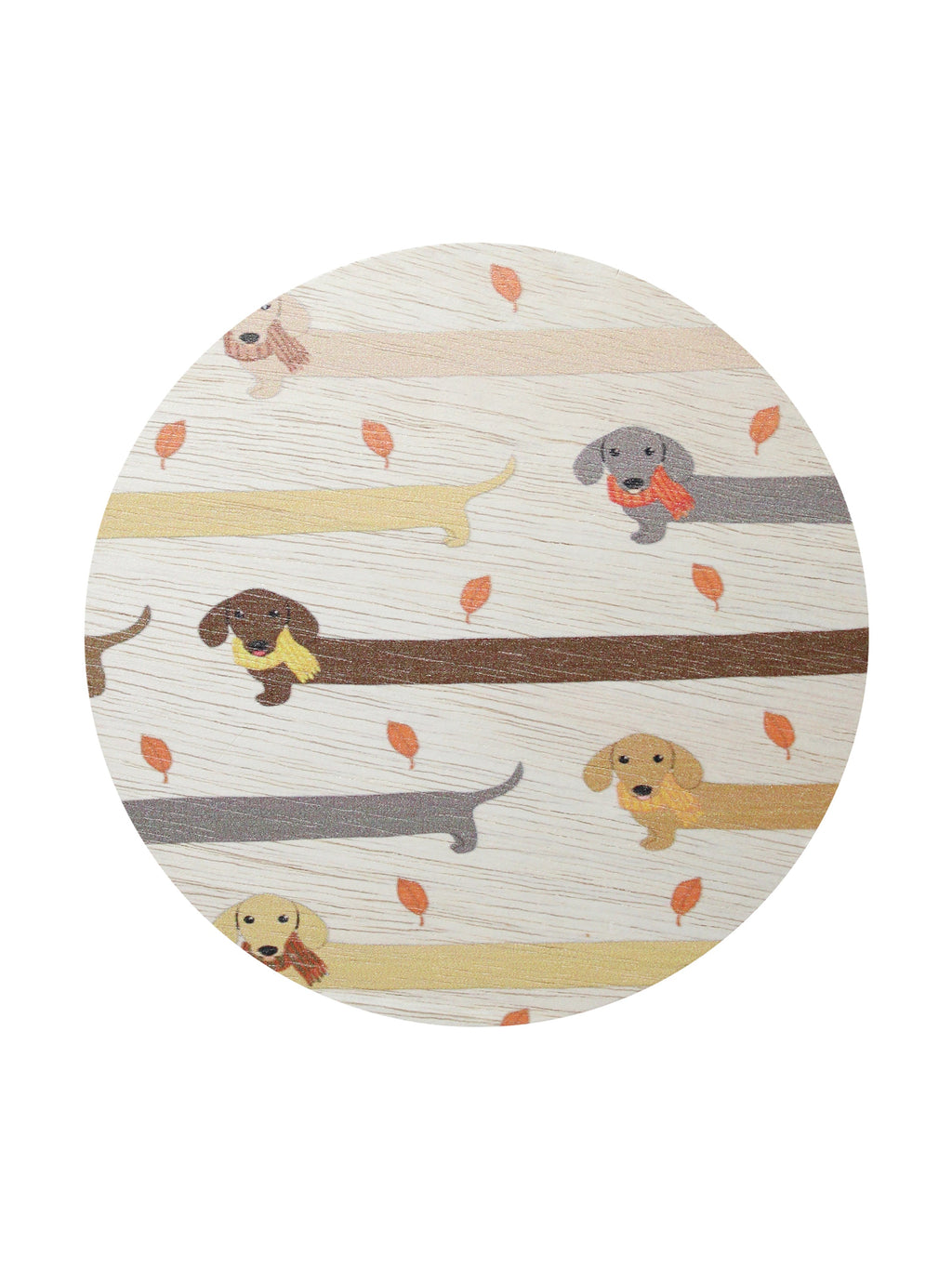 Scented Sand + Paws Apple Cider 12 oz scented candle