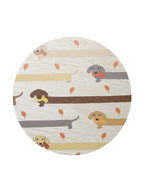 Scented Sand + Paws Apple Cider 12 oz scented candle