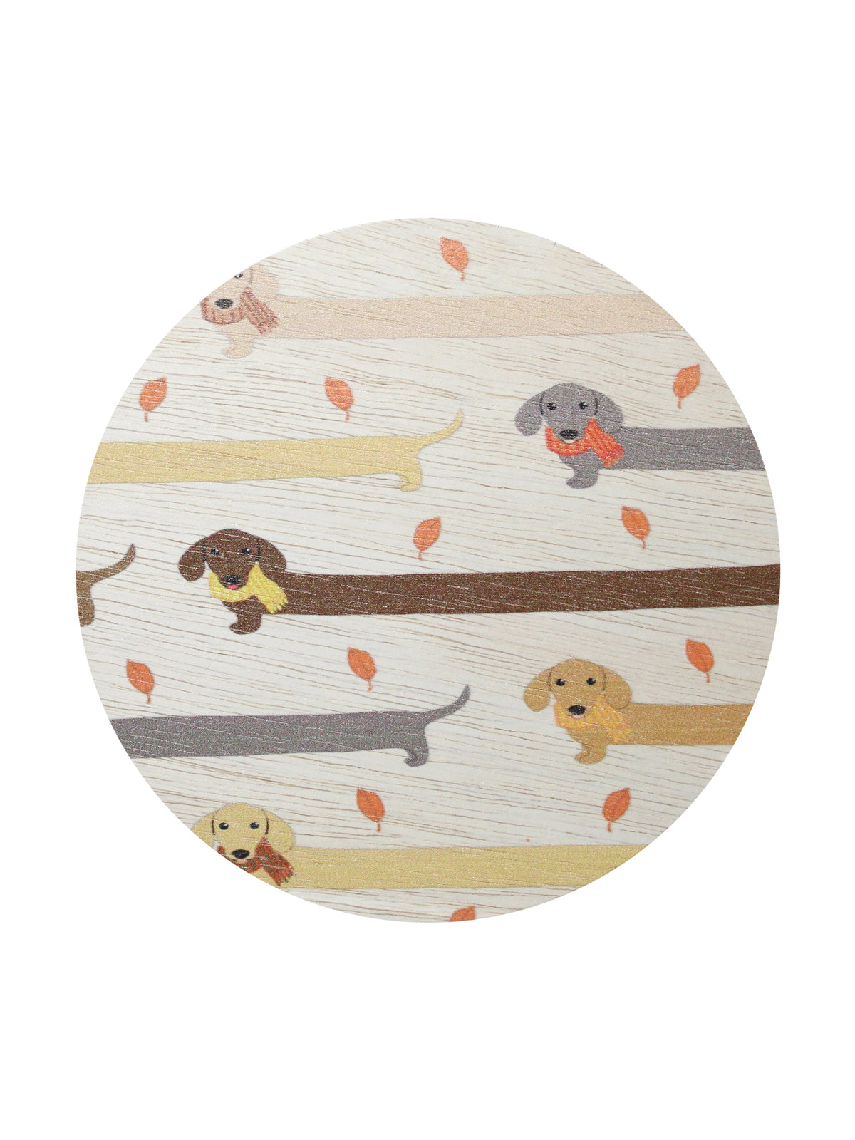 Scented Sand + Paws Apple Cider 12 oz scented candle