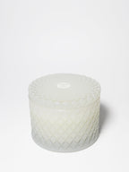 Scented Tropical Citrus 9.5 oz scented candle
