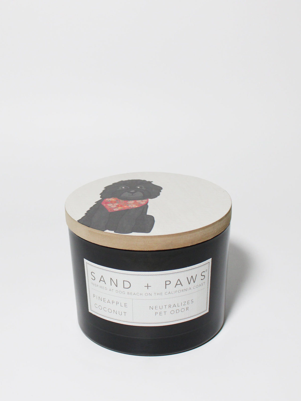 Scented Sand + Paws Pineapple Coconut 12 oz scented candle