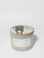 Scented Sand + Paws Tropical Citrus 12 oz scented candle