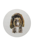 Scented Sand + Paws Amber & Fig 12 oz scented candle