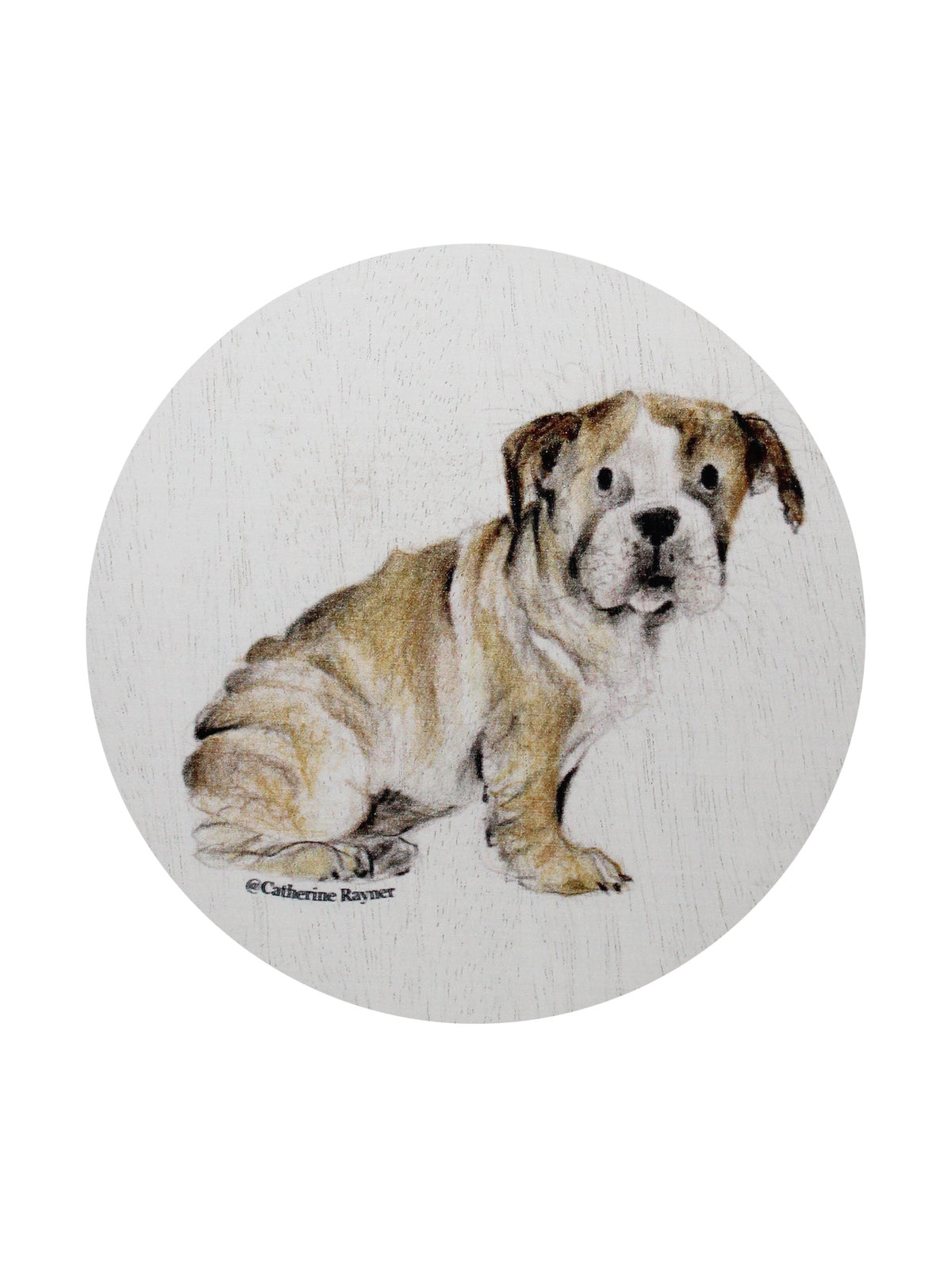 Scented Sand + Paws California Citron 12 oz scented candle