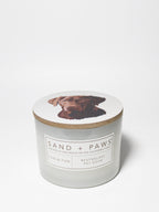 Scented Sand + Paws Sun-n-Fun 12 oz scented candle