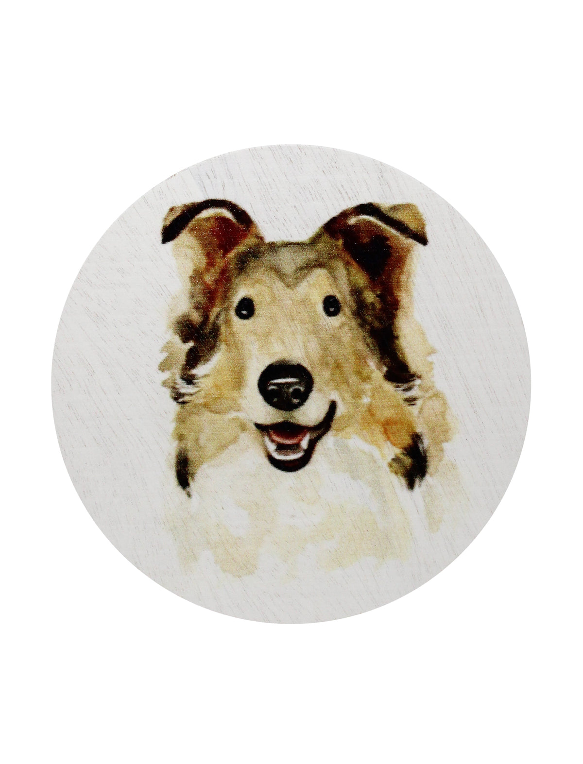 Scented Sand + Paws Desert Rain 12 oz scented candle