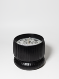 Scented Speakeasy 10 oz scented candle