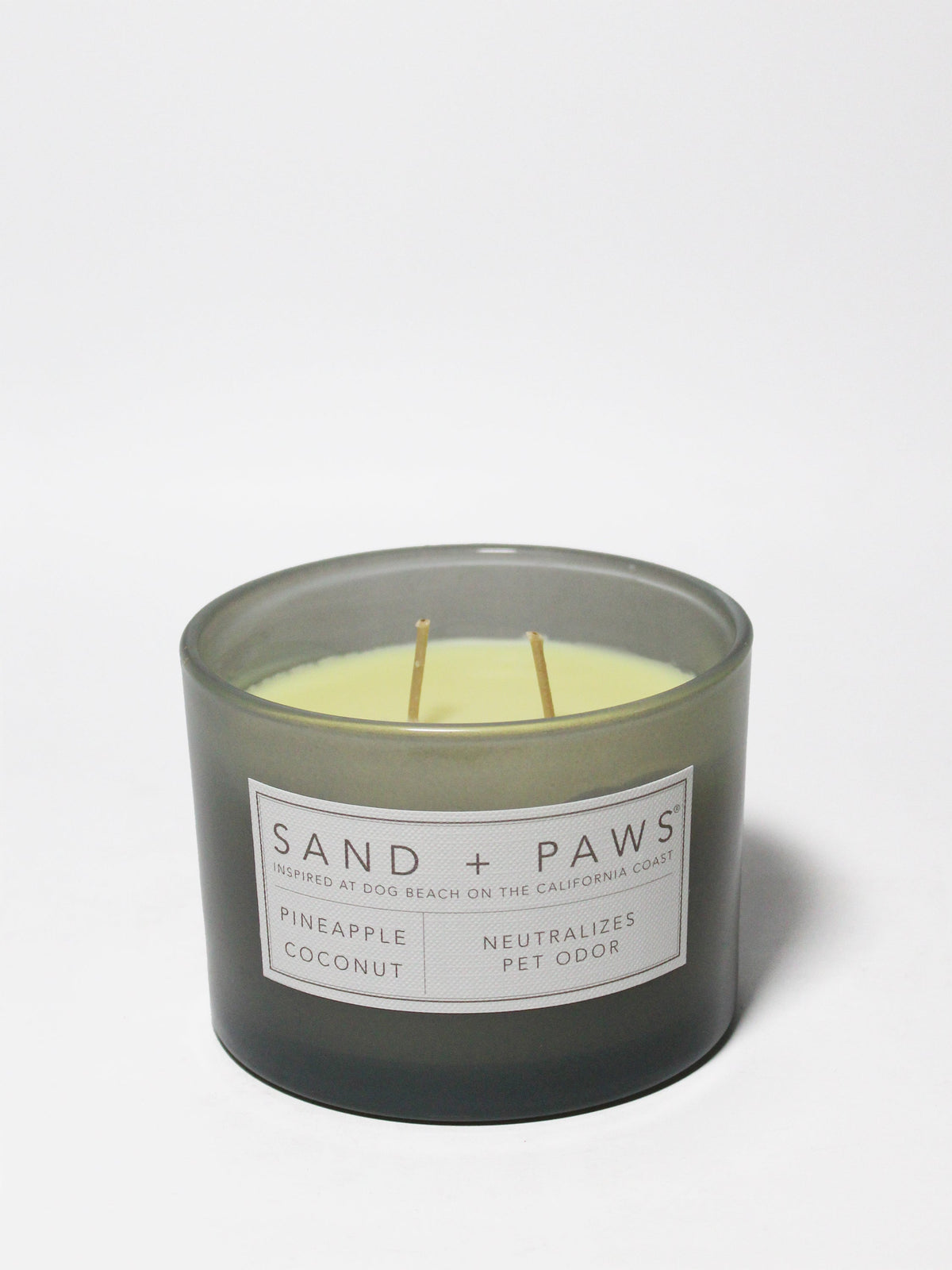 Scented Sand + Paws Pineapple Coconut 12 oz scented candle