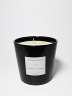 Scented Tropical Citrus Natural Home 31 oz scented candle