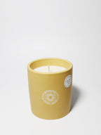 Scented Sun Washed Citrus 12 oz scented candle