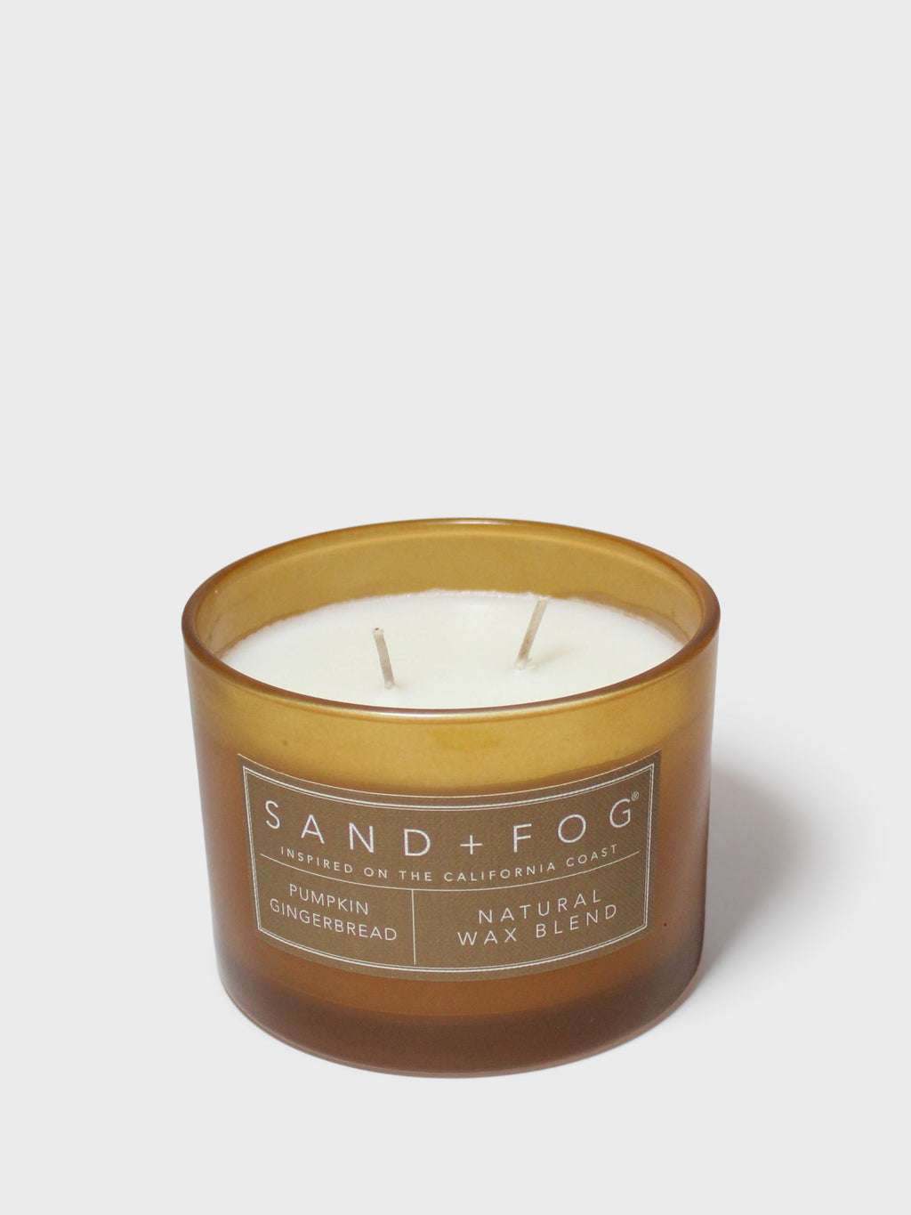 Scented Pumpkin Gingerbread 12 oz scented candle