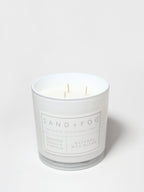 Scented Whipped Vanilla Pumpkin 21 oz scented candle