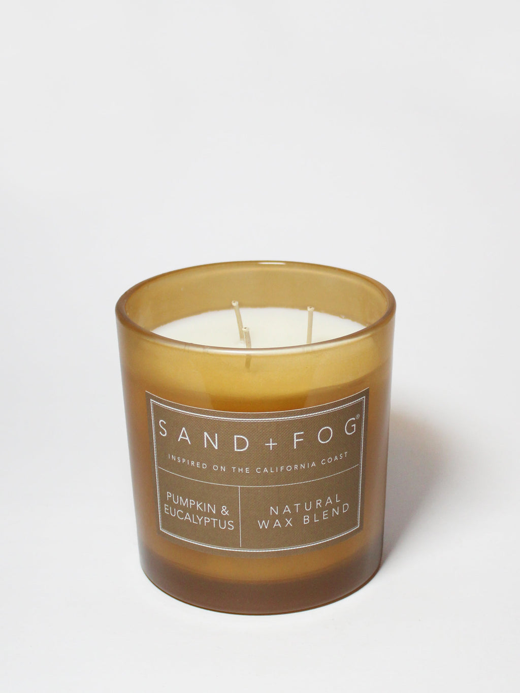 Scented Pumpkin & Eucalyptus 21 oz scented candle