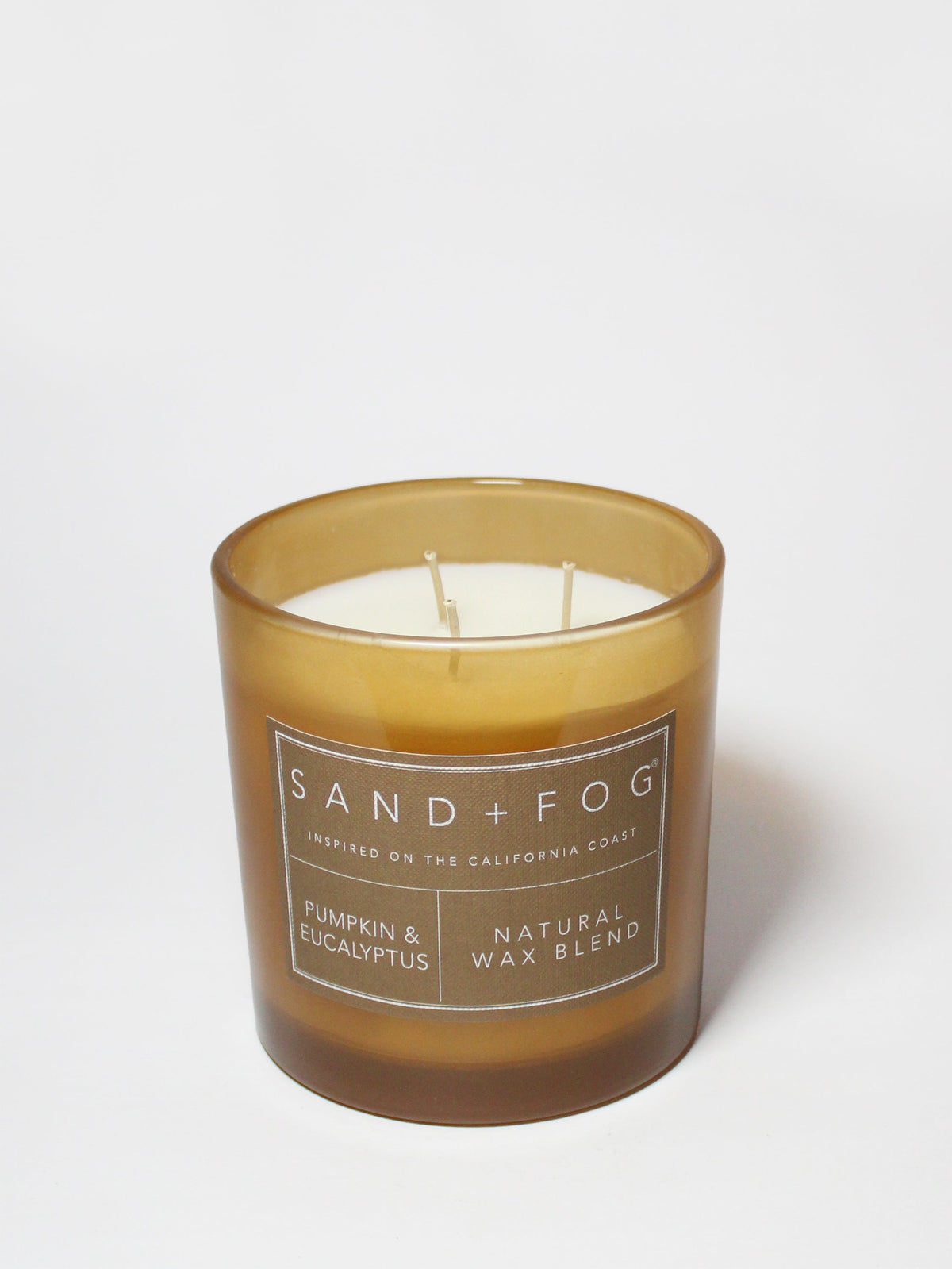 Scented Pumpkin & Eucalyptus 21 oz scented candle