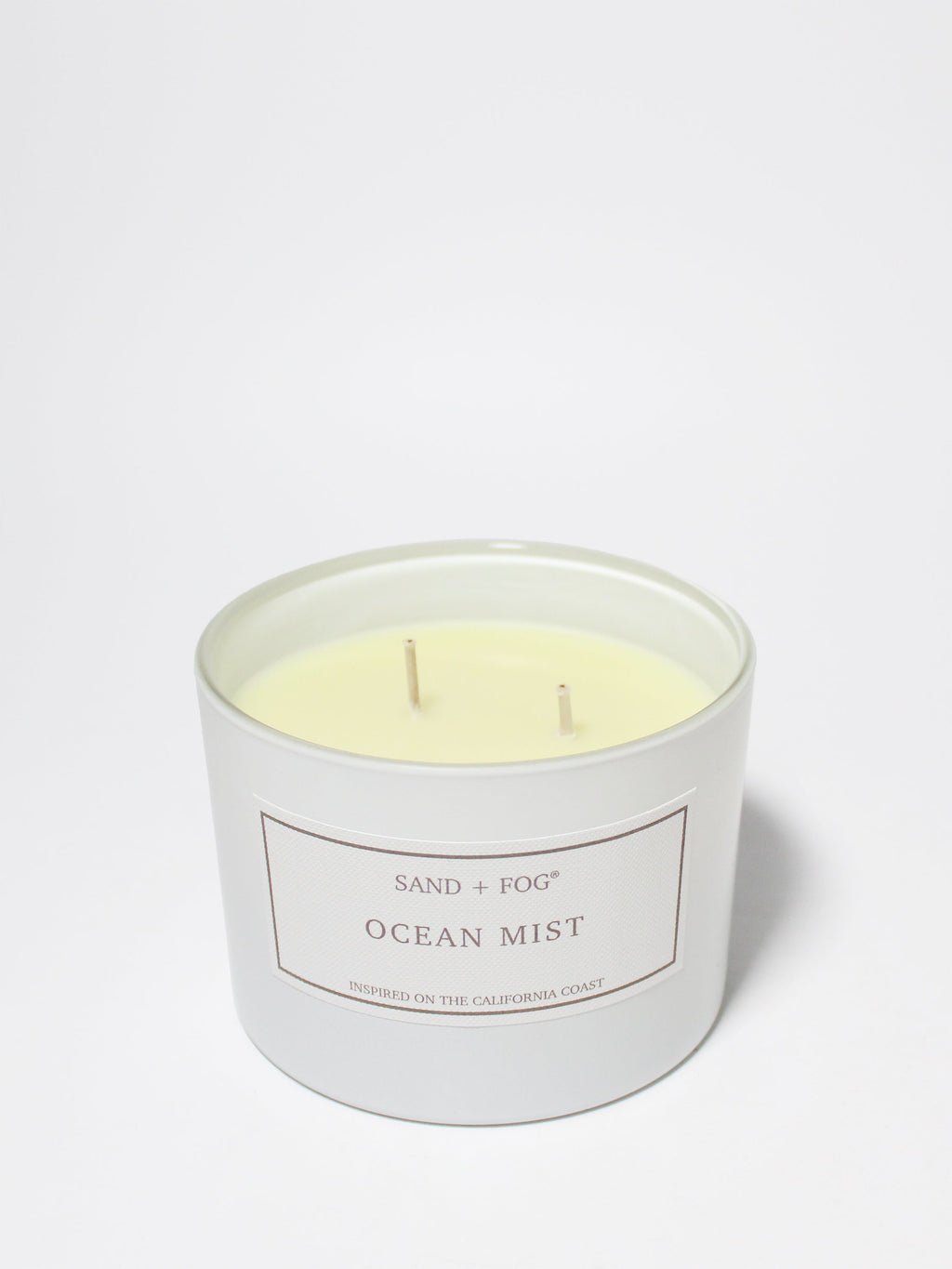Scented Ocean Mist 12 oz scented candle