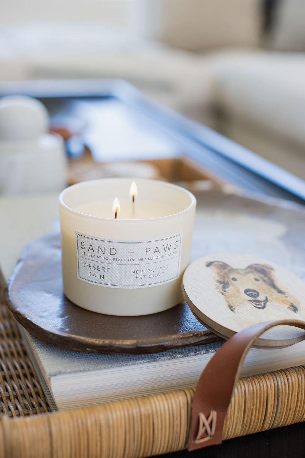 Scented Sand + Paws Desert Rain 12 oz scented candle