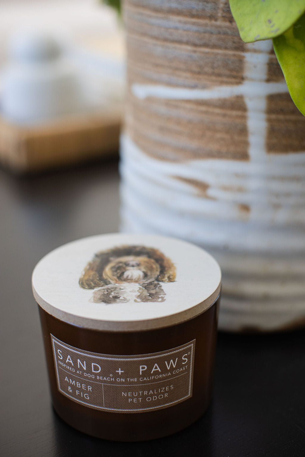 Scented Sand + Paws Amber & Fig 12 oz scented candle