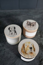 Scented Sand + Paws White Vanilla 12 oz scented candle