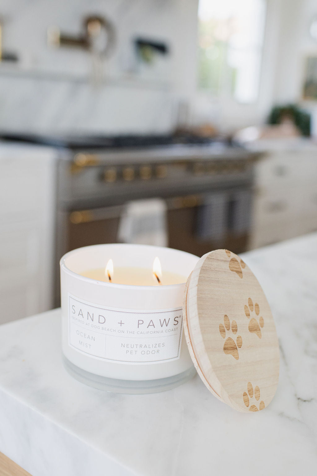 Scented Sand + Paws Ocean Mist 12 oz scented candle