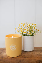 Scented Sun Washed Citrus 12 oz scented candle