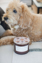 Scented Sand + Paws Amber & Fig 12 oz scented candle