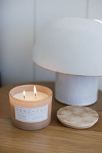 Scented Island Orchid 12 oz scented candle