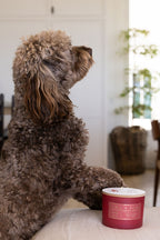 Scented Sand + Paws Winter White 12 oz scented candle