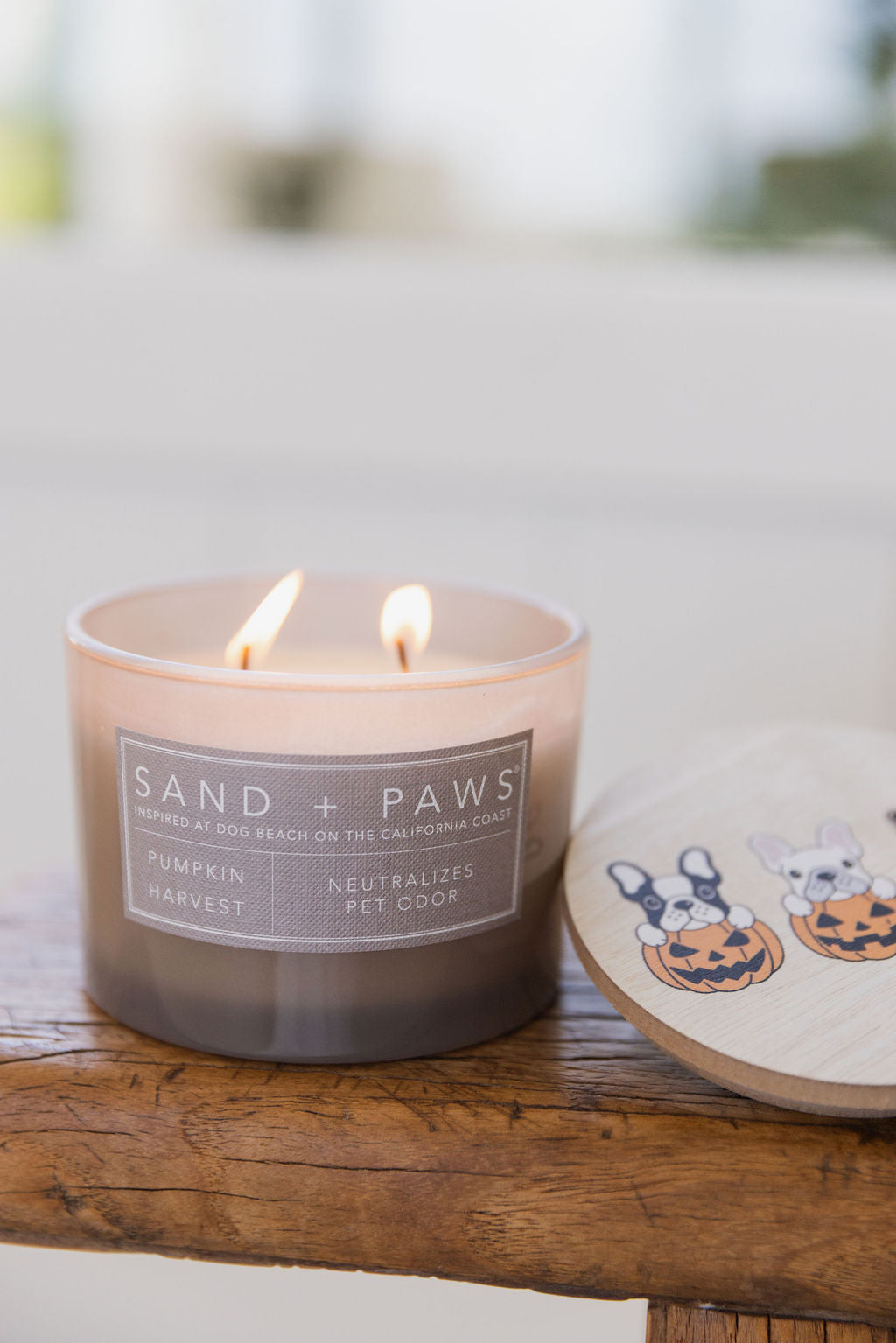 Scented Sand + Paws Pumpkin Harvest 12 oz scented candle