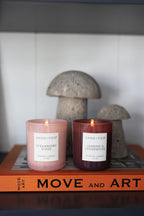 Scented Strawberry Shake 10 oz scented candle