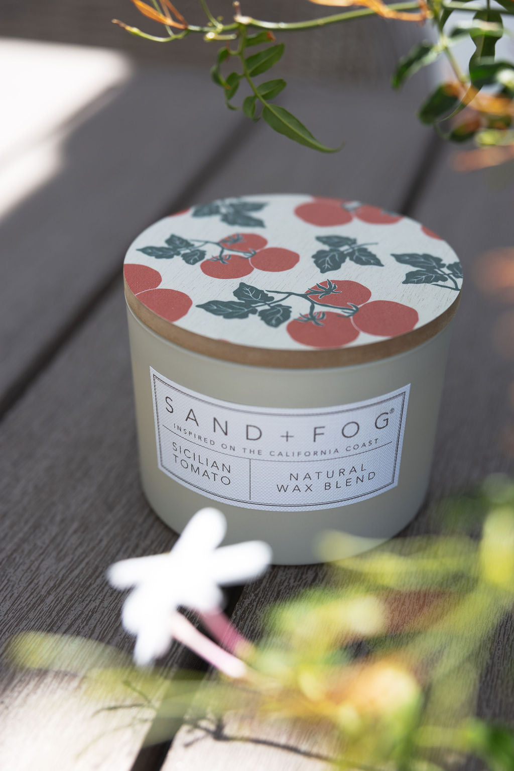 Scented Sicilian Tomato 12 oz scented candle