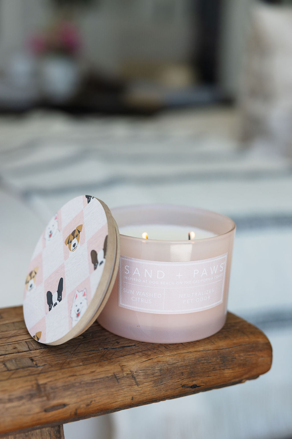 Scented Sand + Paws Sun Washed Citrus 12 oz scented candle