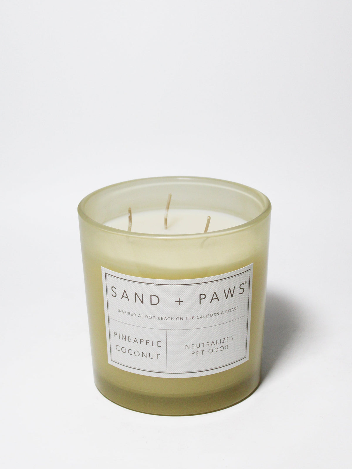 Scented Sand + Paws Pineapple Coconut 21 oz scented candle