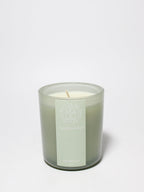 Scented Eucalyptus 10 oz scented candle