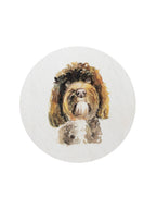 Scented Sand + Paws Vanilla & Amber 12 oz scented candle