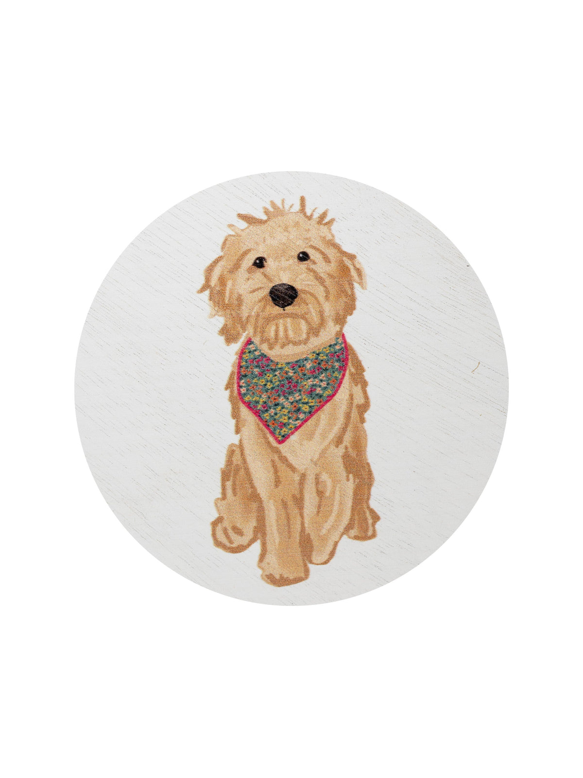 Scented Sand + Paws Laundry Day 12 oz scented candle