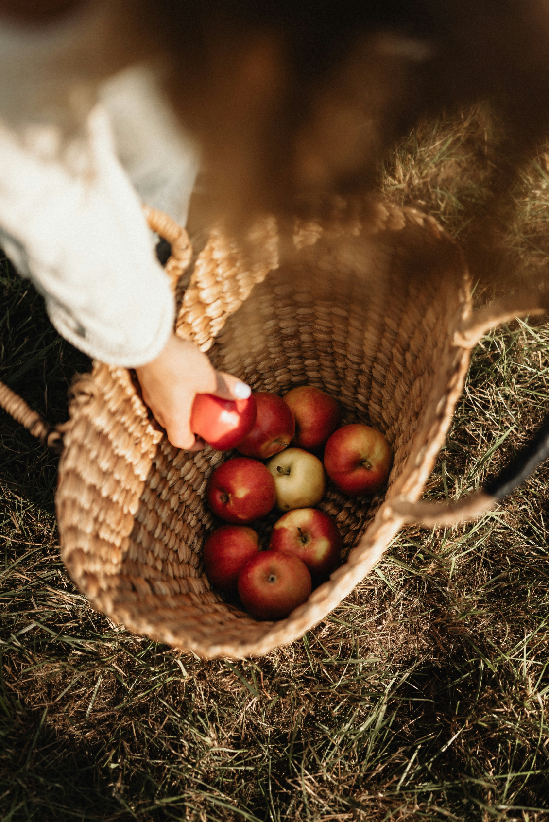Scented Apple Picking 12 oz scented candle