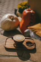 Scented Sand + Paws Pumpkin Soy Latte 12 oz scented candle