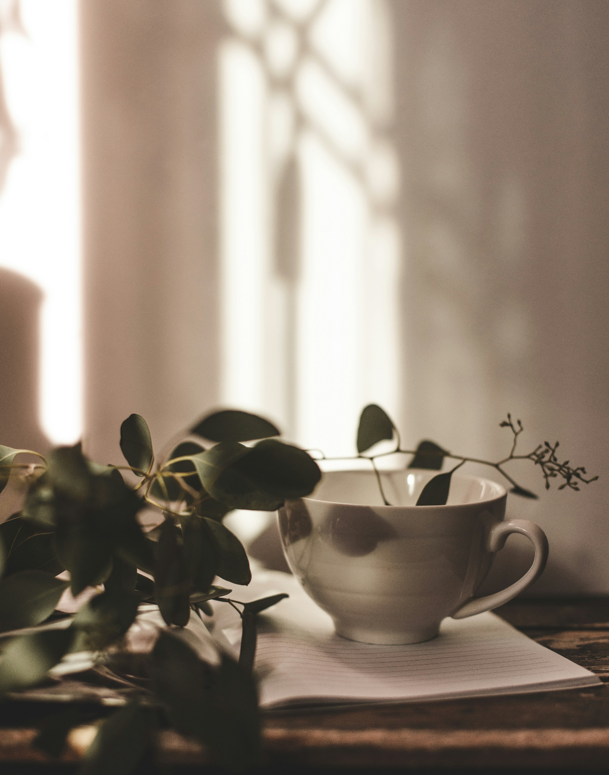 Gentle Eucalyptus Mint 15.7 oz Liquid Hand Soap