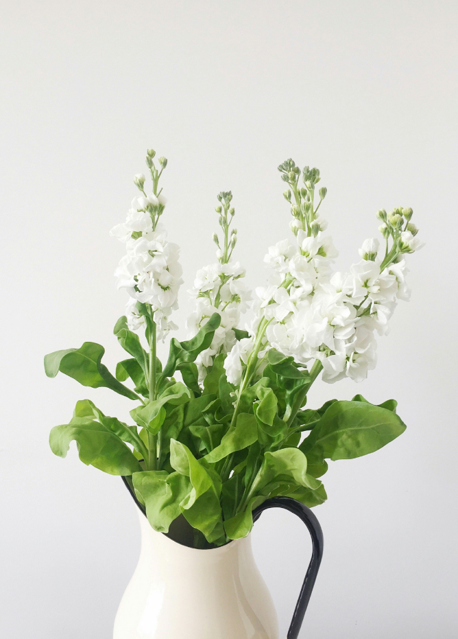 Scented White Flowers 10 oz scented candle