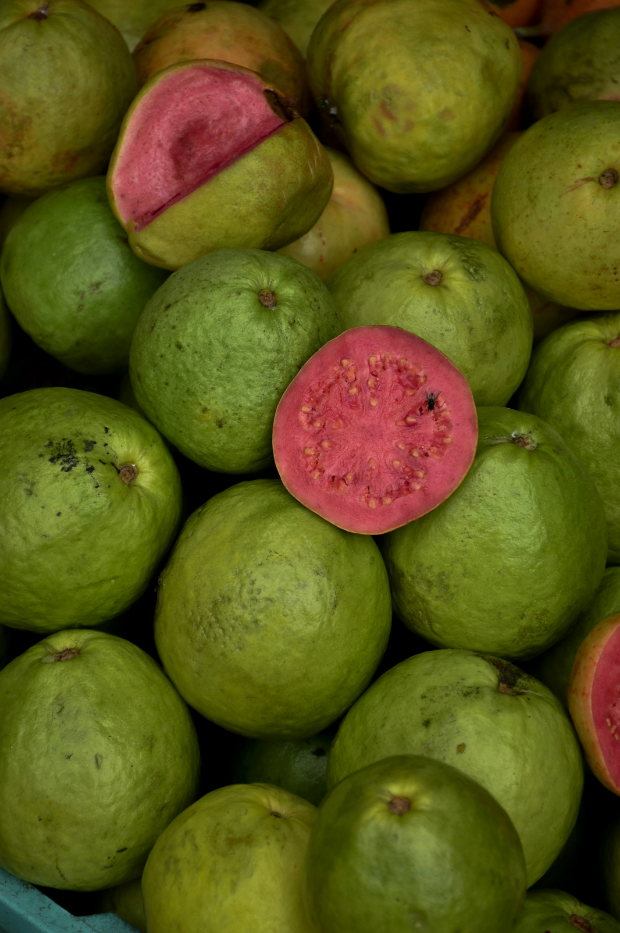 Scented Paradise Guava 12 oz scented candle