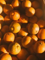 Scented Sand + Paws Golden Citrus 12 oz scented candle