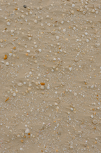 Aromatic Ocean & Sea Salt 100 ml Reed Diffuser
