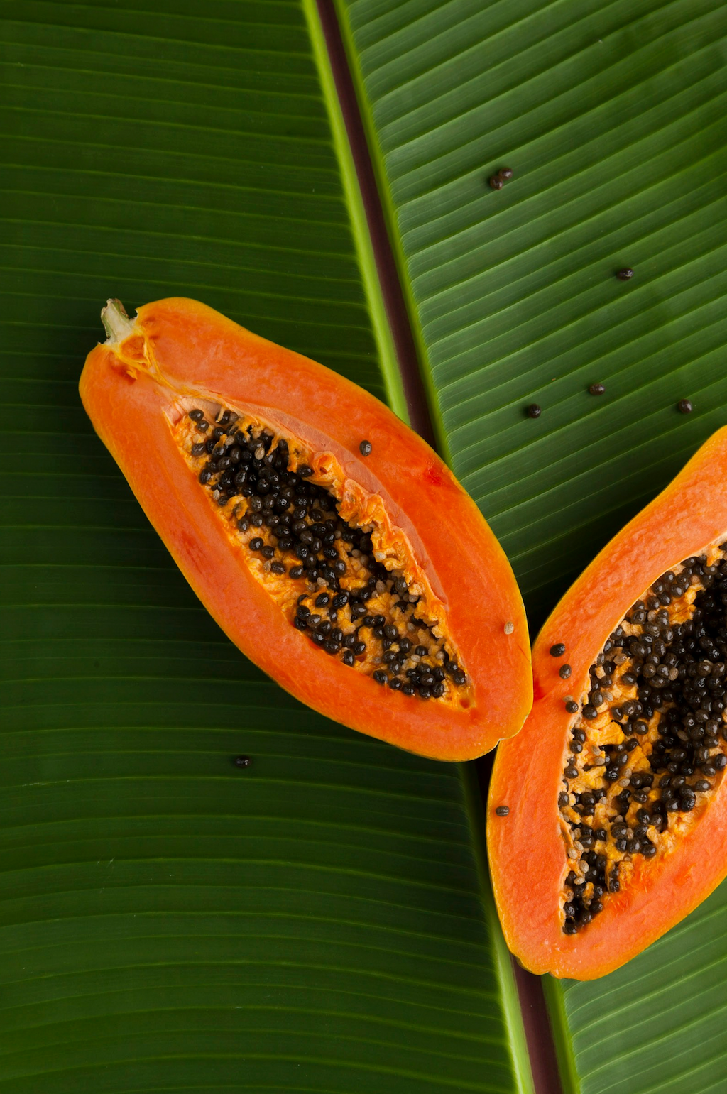 Scented Island Papaya 12 oz scented candle