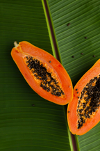 Scented Island Papaya 10 oz scented candle